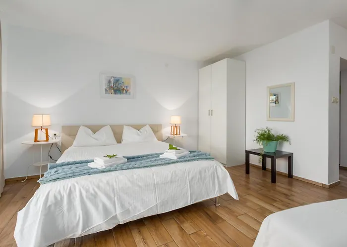 Zomzi 아파트 포레치